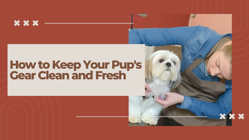 How to Keep Your Pup's Gear Clean and Fresh