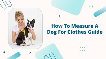 How to Measure a Dog for Clothes Guide