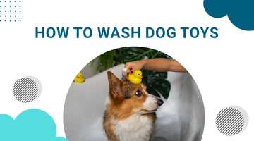 How to Wash Dog Toys