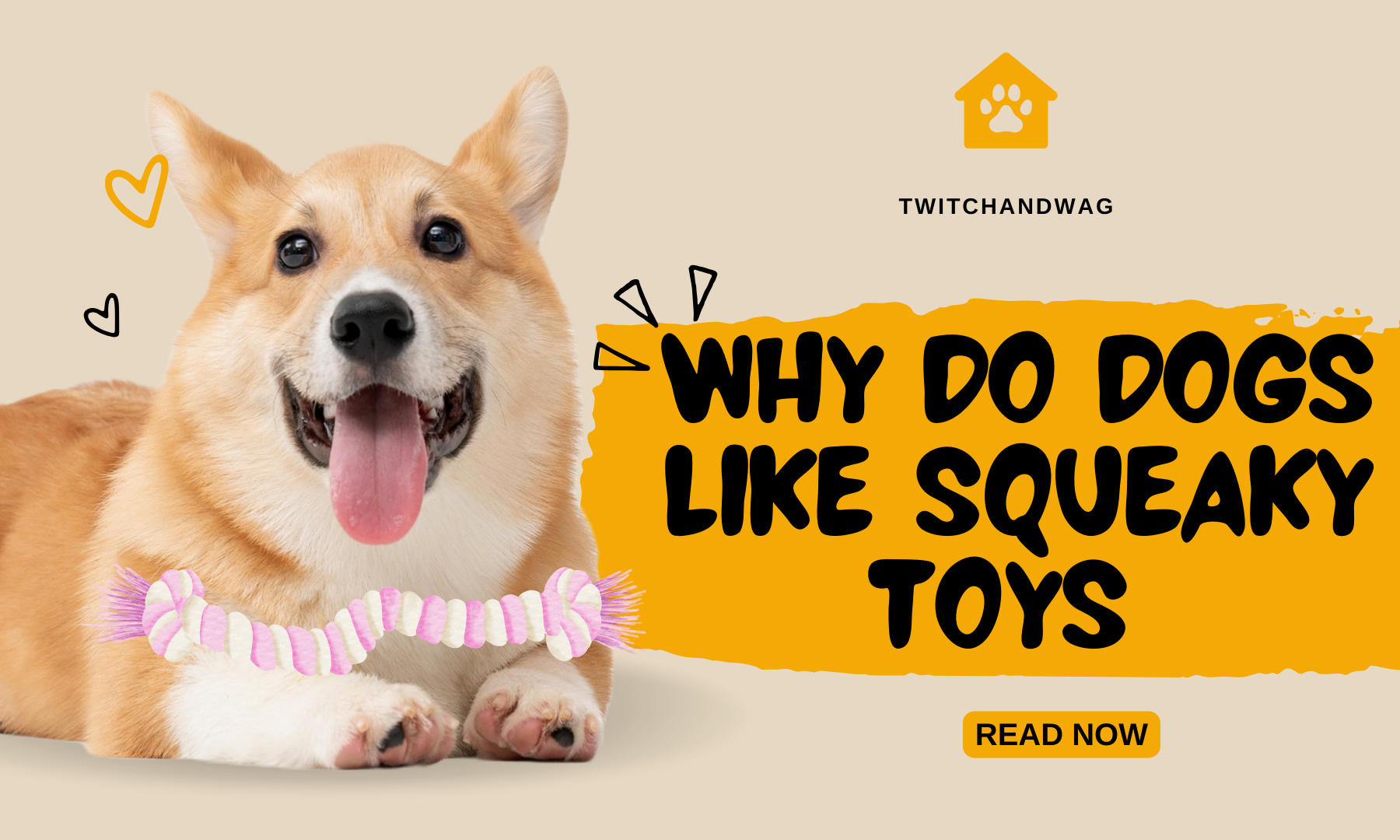 Why Do Dogs Like Squeaky Toys