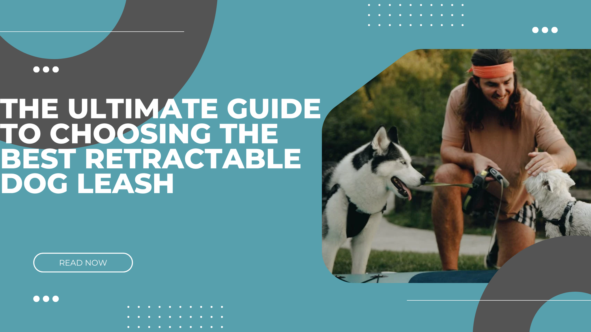 The Best Retractable Dog Leash