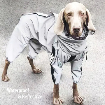 Reflective All-weather Waterproof Dog Jacket