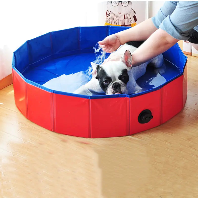 Folding Pet Splash Pool: Keep Your Pets Cool and Happy All Summer Long!