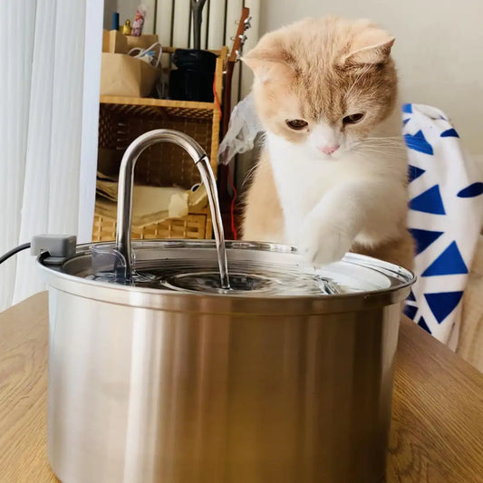 Stainless Steel Pet Water Fountain – Keep Your Furry Friends Hydrated and Happy