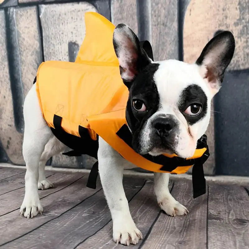 Dog Life Jacket