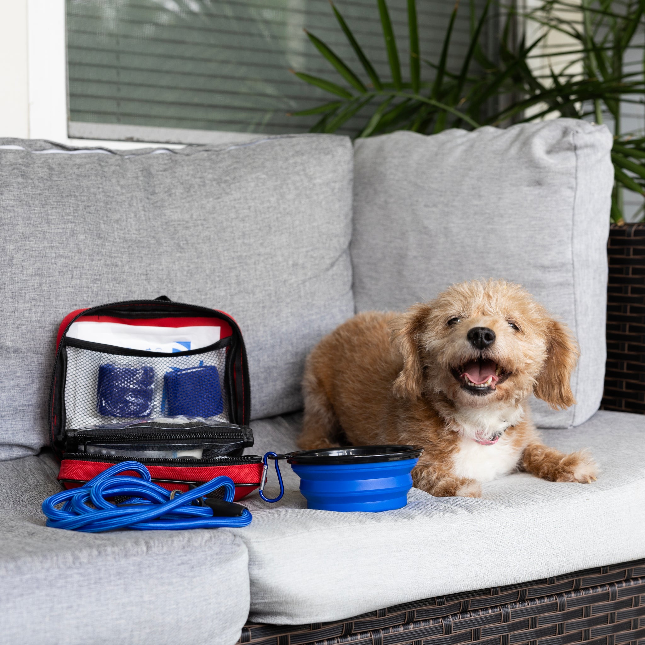 Pet First Aid Kit | Essential Safety for Your Furry Friend