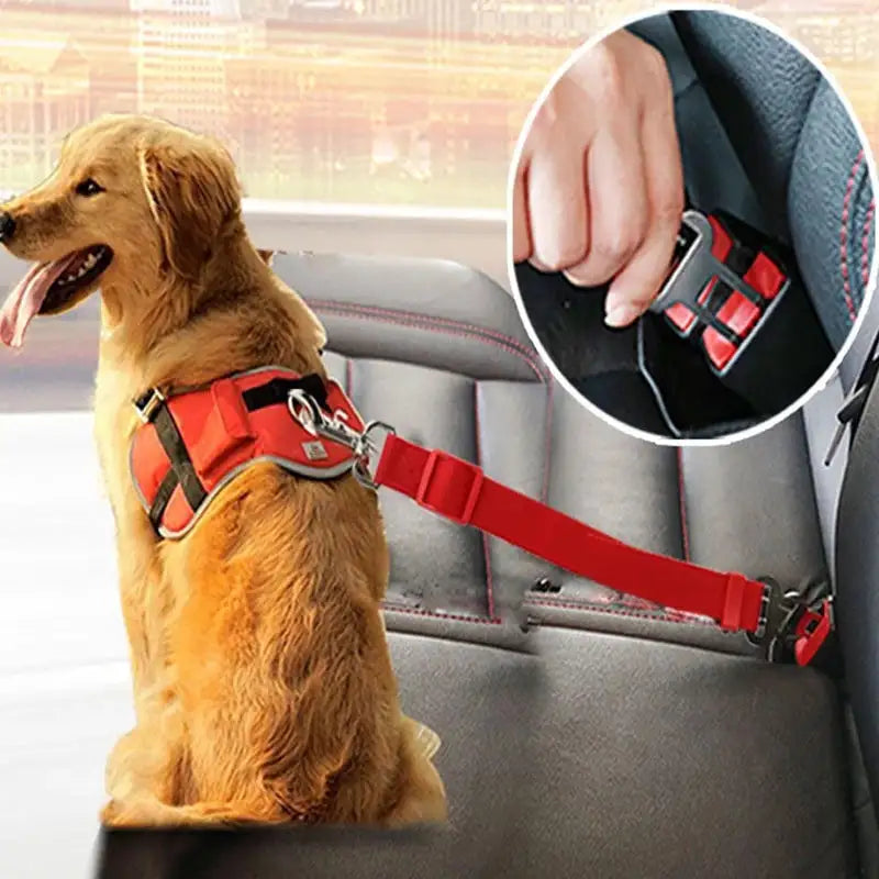 RoadiePaws Car Tether  | Clip in Pet Car Seat Belt