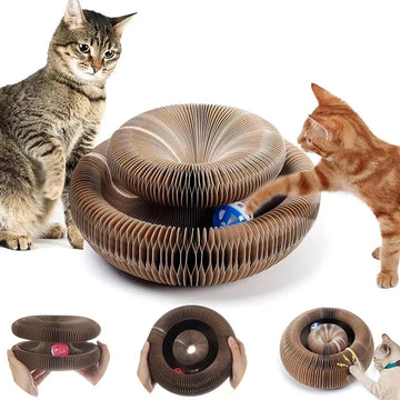 Multi-Shape Cat Scratching Board - Foldable Scratch Pad