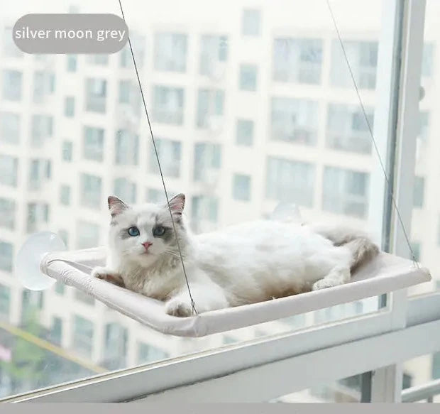 Cat enjoying the plush comfort of our hanging cat hammock