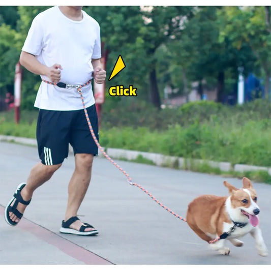 Reflective Dog Training Leash