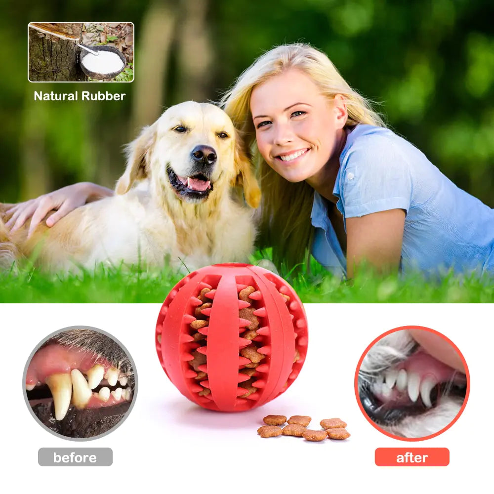 Teeth cleaning dog toys