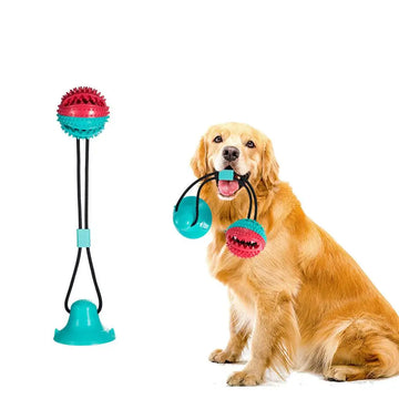 SiliChew Suction Pal: Pet Molar Bite Toy