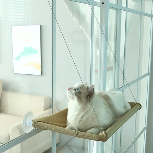 Cozy Retreat for Cats: Suction Cup Hanging Cat Hammock – Purrfection Elevated